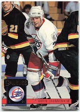 1993-94 Donruss #388 Darrin Shannon Winnipeg Jets