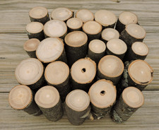 26 Ash Wood Stick Chunk 3"L 1~1 1/2"D Mini Log Hollow Center Pith Live Edge