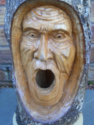 Carved Wooden Green Man Bird House Nesting Box 33 cm Indoor / Outdoor Variants - Picture 14 of 16