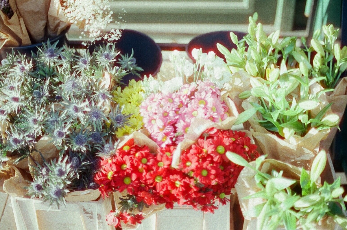 Film 35mm Candido 400 ISO Couleur Négatif - 2 Rouleaux De 36 Poses, Design London