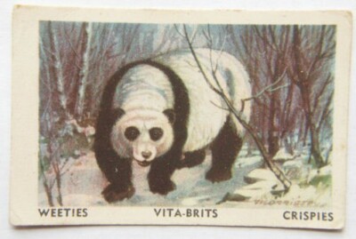 Australian Vitabrits Weeties Animals of World 44 Panda
