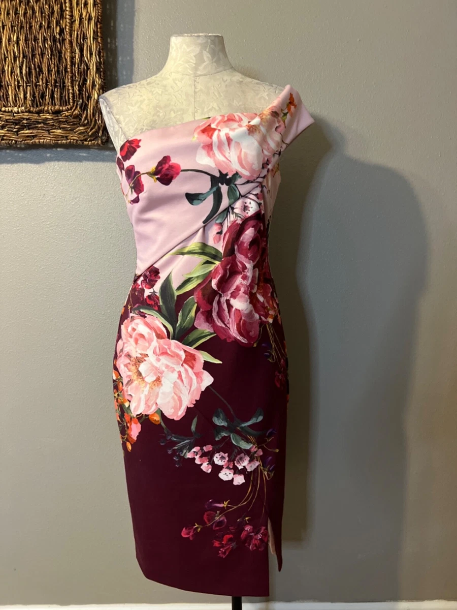 Ted baker clearance dress with birds