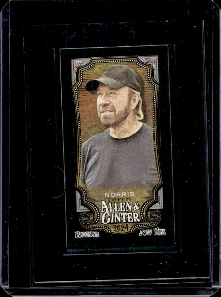 Chuck Norris trading card
