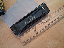 Small Fish Harmonica 10 Hole Diatonic Harmonica w/Pouch And Cleaning Cloth