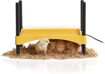 Ecoglow Safety 600 Chick or Duckling Brooder, Adjustable Height & Angle Brooder 