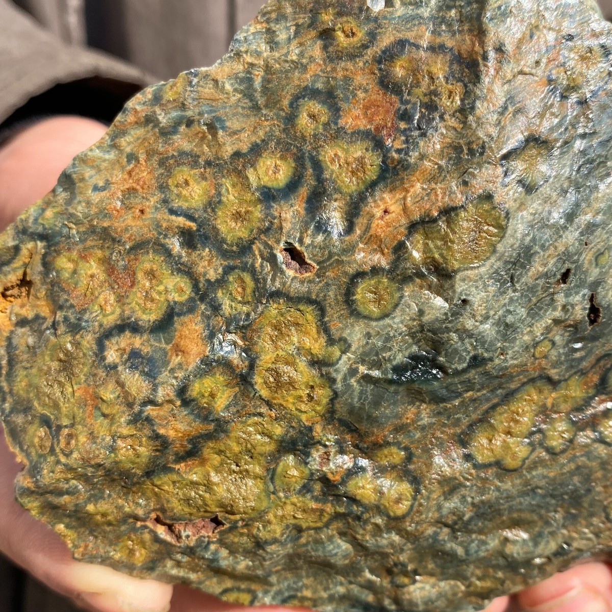 520g Large Raw Ocean Jasper Circle Quartz Crystal Rough Healing