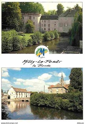 Postcard - 91 - Milly la Foret - Le Château de la Bonde - Multivues - CPM -