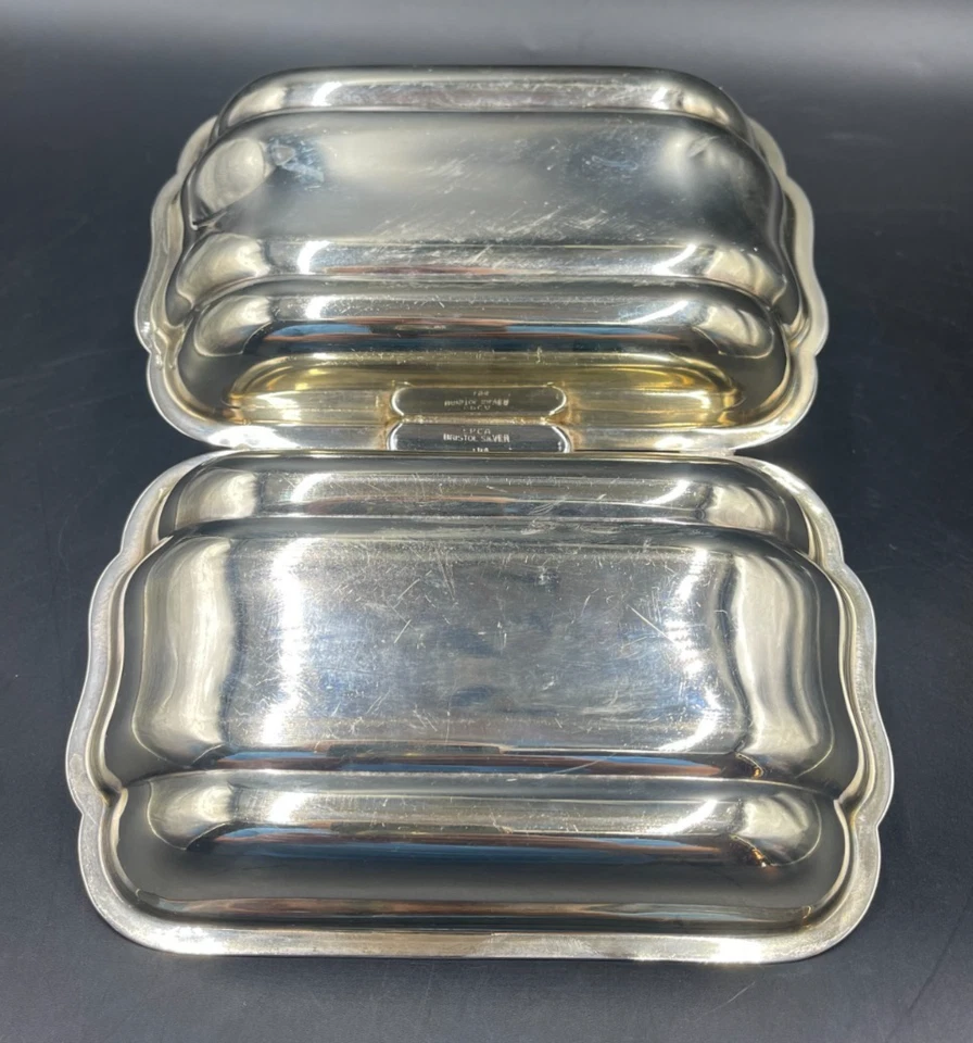 Antipastiera Salsiera aperitivo EPCA BRISTOL SILVER 2 scomparti argentato - Immagine 4 di 4