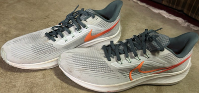 Nike Pegasus Size 12
