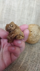 Video 1 von 1