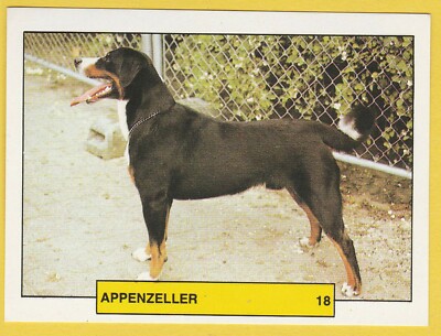 Hunde Spanische Sammelkarte Aufkleber ca 1981 Kaufmann #18 Appenzeller Sennenhund