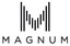 MAGNUM REMOTES