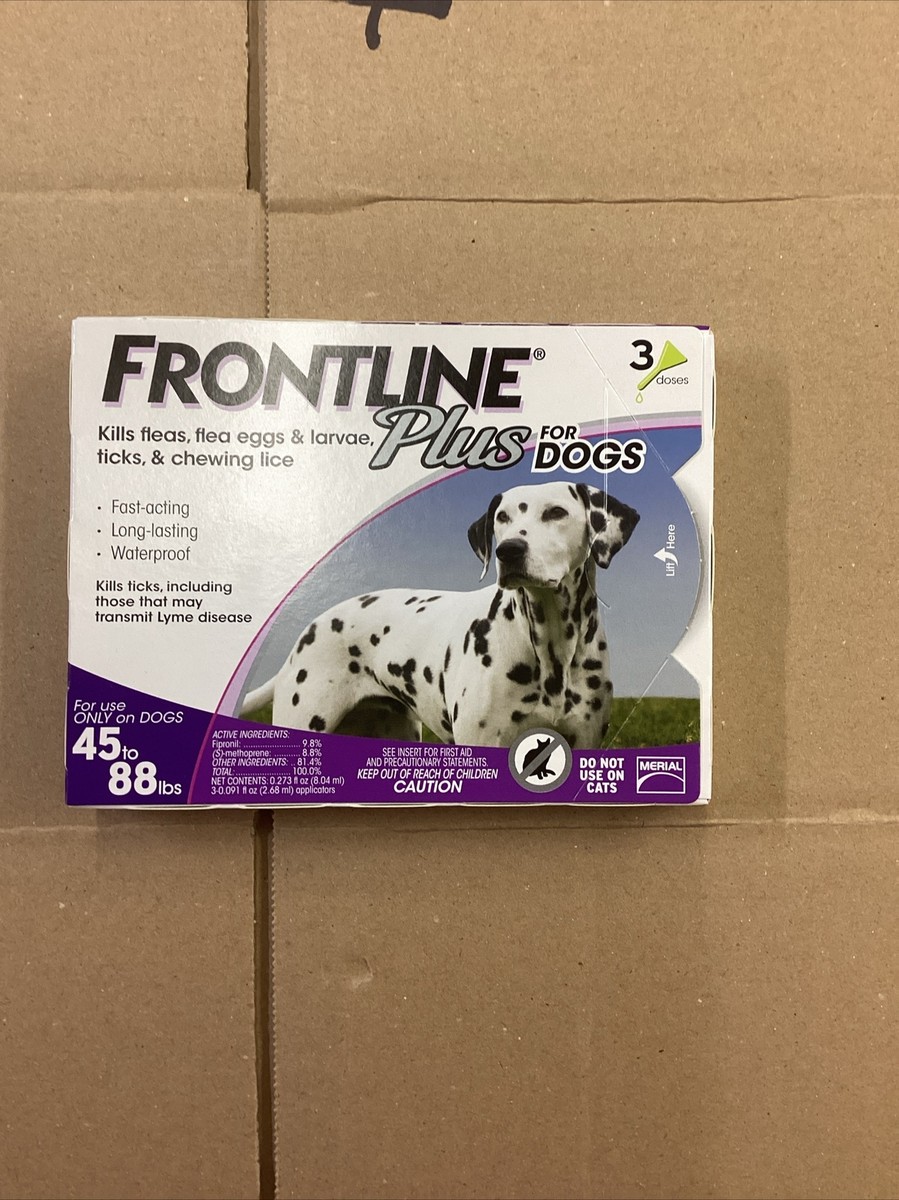 88 Lbs Frontline Plus For Large Dogs Frontline Plus Topical Flea