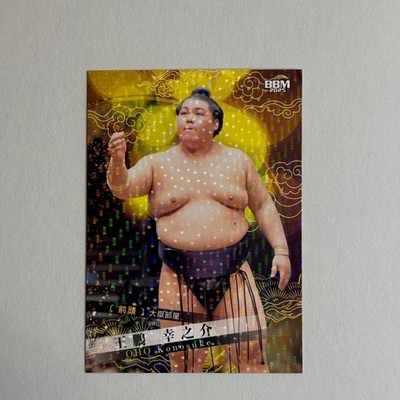 Taishoho Kounosuke 2025 BBM Sumo Hologram Trading Card Frontrow