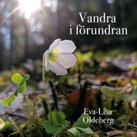 Eva-Lisa Oldeberg | Vandra I FöRundran | Taschenbuch | Schwedisch (2025)