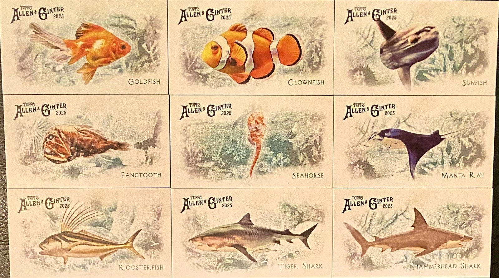 2025 Topps Allen & Ginter 50 FISH FROM GLOBAL WATERS You Pick Complete Your Set