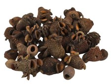 NaDeco Banksia Zapfen & Eukalyptus Früchte im Mix, 1kg, Naturdeko Mix