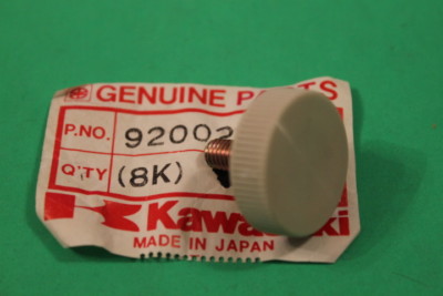 Kawasaki NOS NEW 92002-1602 Bolt 6mm ZX ZX1000 Ninja 1000R 1986-87