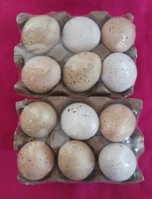 new brightstar decorative egg fill neutral realistic  plastic  12 pcs