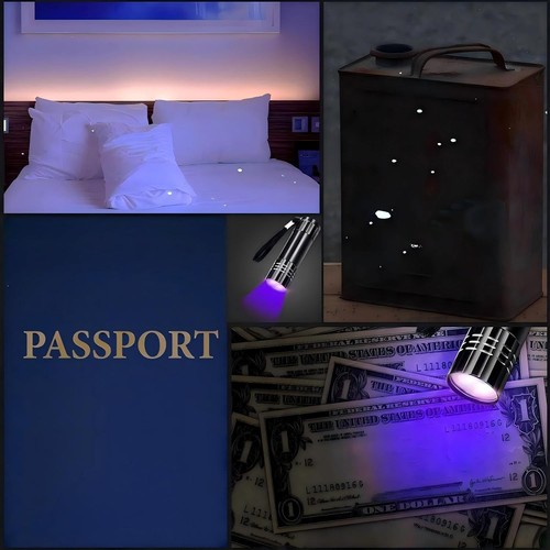 Confezione da 2 Torce UV Blacklight - Portatile 395nm Luce Portatile Rilevamento Macchie - Foto 8 di 9
