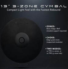 Lemon 13" Dual Zone Electronic Crash Cymbal w/ Choke