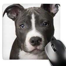 3dRose, American Pit Bull Terrier Puppy, Mouse Pad