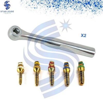 2 Pcs Bone Expander Kit 5 Pcs Screws with Ratchet Wrench 4.0mm Dental Instrument