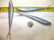 15-4 1/2"-crappie bass-soft minnow-jig-grub-pike-lure-split tails-flukes-scented