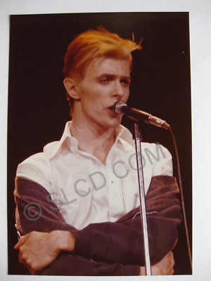 DAVID BOWIE Station To Station Tour 1976 CONCERT PHOTOGRAPH Thin White ...