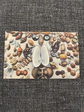 Vintage Linen Postcard Tropical Florida Sea Shells along the Gulf of Mexico