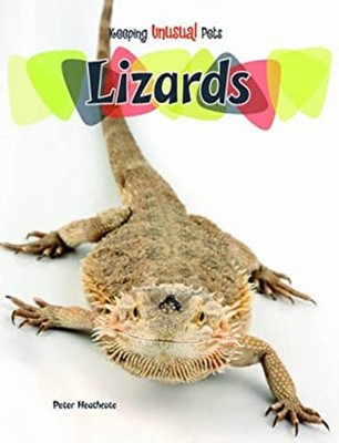 Lizards Paperback Peter Heathcote