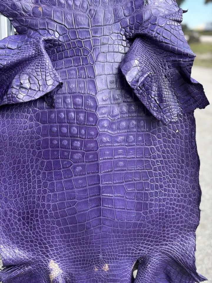 Caimán salvaje genuino curtido profesionalmente en púrpura Foto 4 de 4