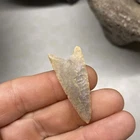 MLC s8386 Neolithic Triangle Arrowhead Sahara Desert Birdpoint Africa Artifact