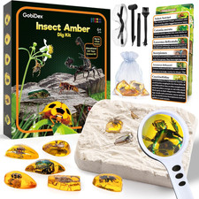 Amber Dig Kit for Kids Ages 6+, Excavate 6 In...