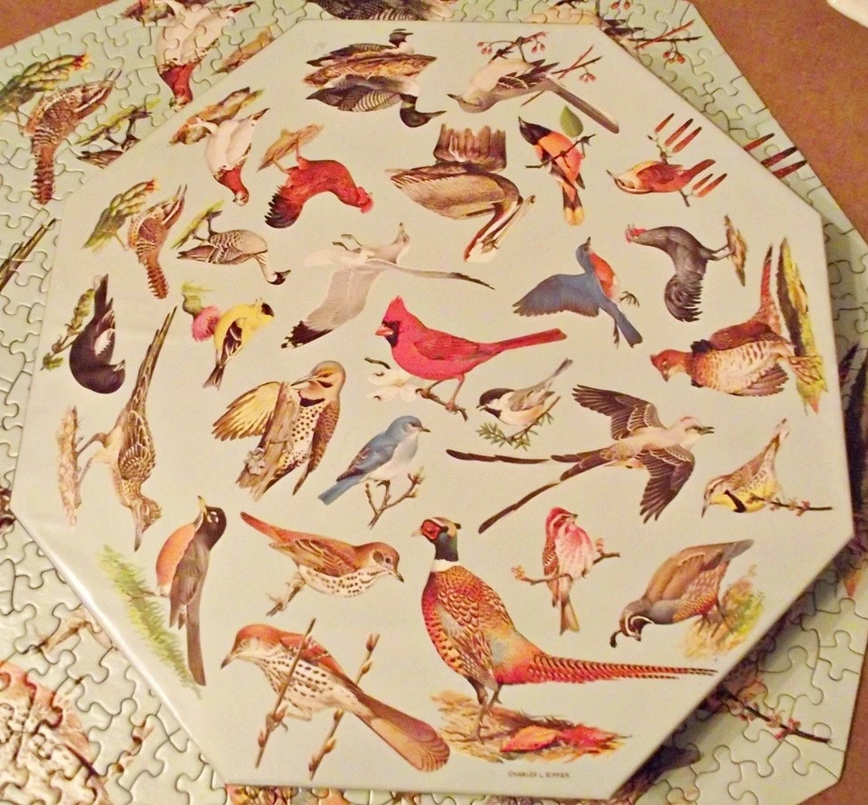 Rompecabezas octágono Springbok 1973 State Birds Ripper COMPLETO sin usar Foto 3 de 4