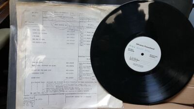 King Biscuit Boy    King Biscuit Boy TESTPRESSING - 33T LP /NM Epic    KE 32891