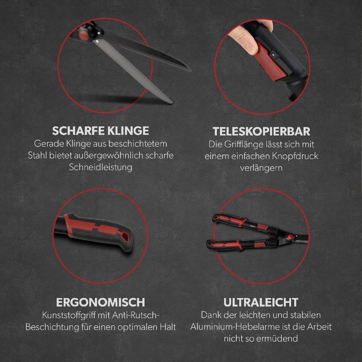 Bild 5 von 8