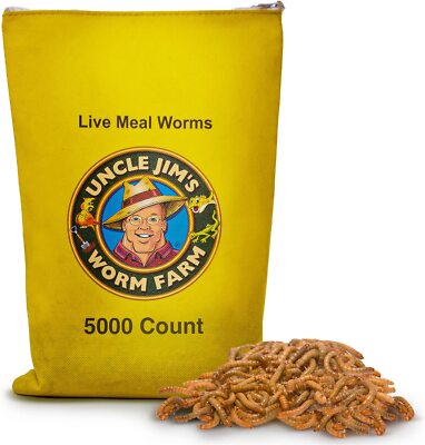 Uncle Jim's LIVE Meal Worms