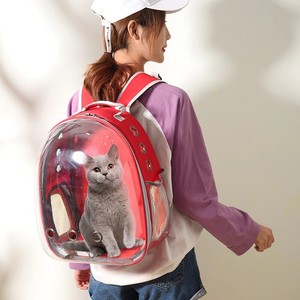 cat globe backpack
