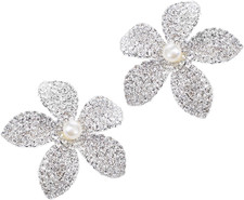 Rhinestone Tassel Nipple Pasties, Pasties Nipple Covers, Silver Flowe...