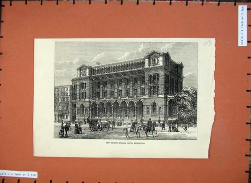 Original Old Antique Print 1872 New Science Schools South Kensington Fine Art