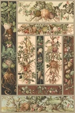 Anton Seder 1890 Art Print – Root Vegetables Art Nouveau Botanical Illustration