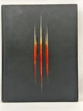 Diablo III (3): Limited Edition Strategy Guide (Great Condition)
