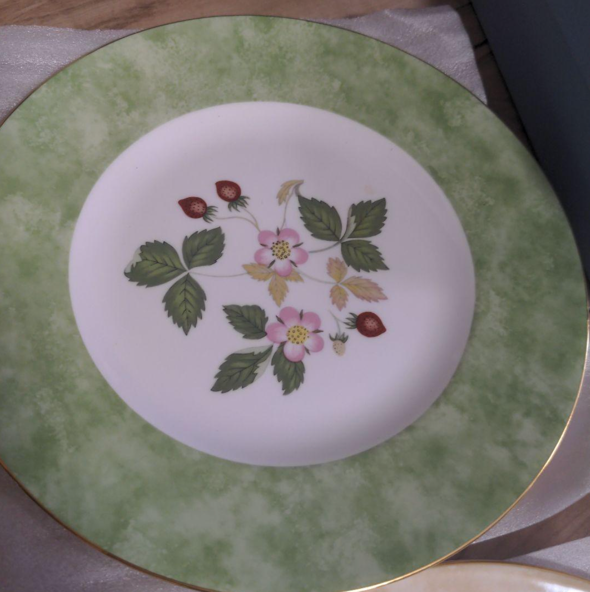 Wedgwood Wild Strawberry Full Rim Plate Set of 5 Colors 20.5cm w