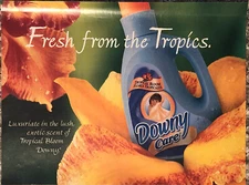 1999 Downy Care Fabric Softener Tropical Bloom PRINT AD Fresh Tropics VTG 1990s