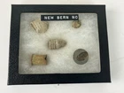 Lot  5 org Civil War Relics Bullets Dug Bern North Carolina NC Case Relic