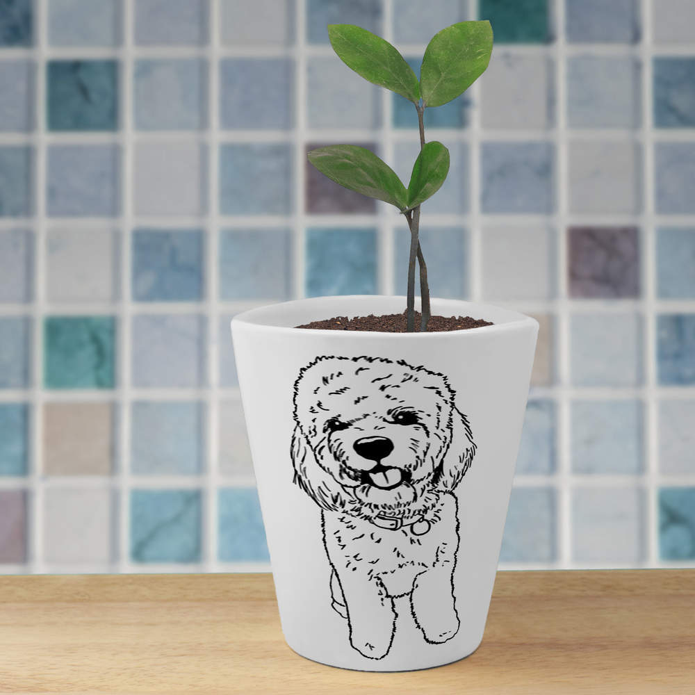 'Cockapoo' Ceramic Plant / Flower Pot (FP00009796) eBay