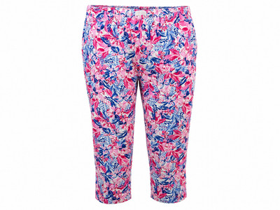 Stella Parker Women s Floral Linen Blend Pull On Capri Pants Pink Blue XXL