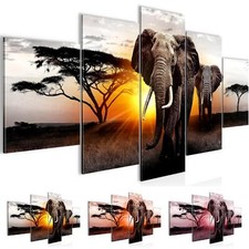 Wandbilder Wohnzimmer XXL Afrika Elefant Moderne Bild Sonnenuntergang