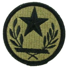 Texas Army National Guard OCP Patch - U.S. Army Patch